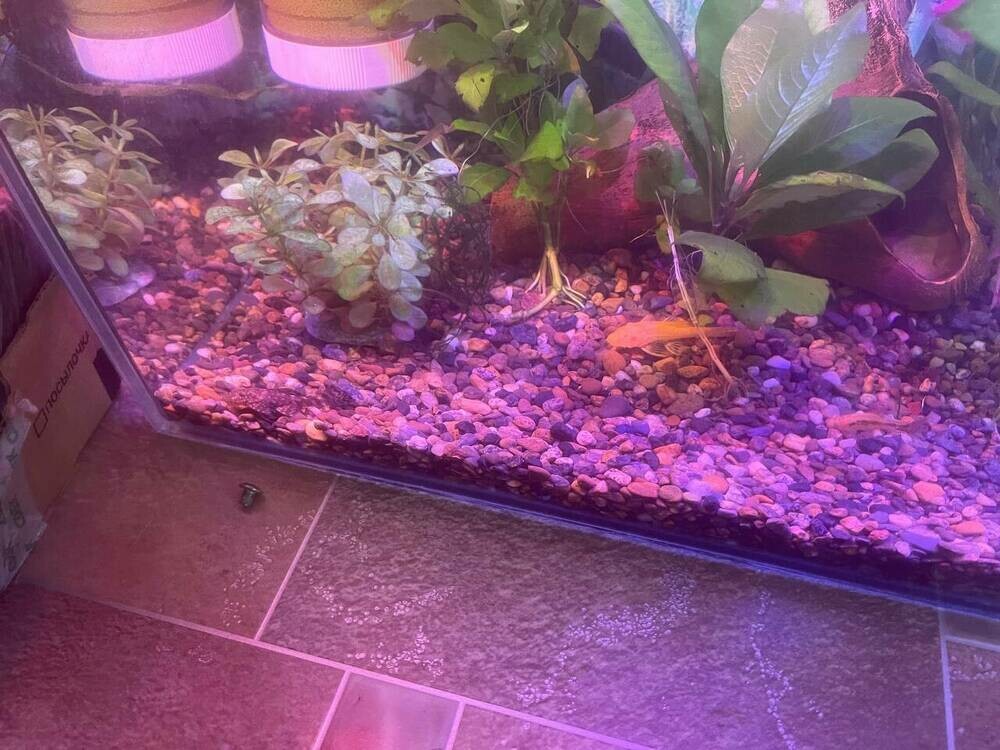 photo_2025-01-24 20.48.49.jpeg