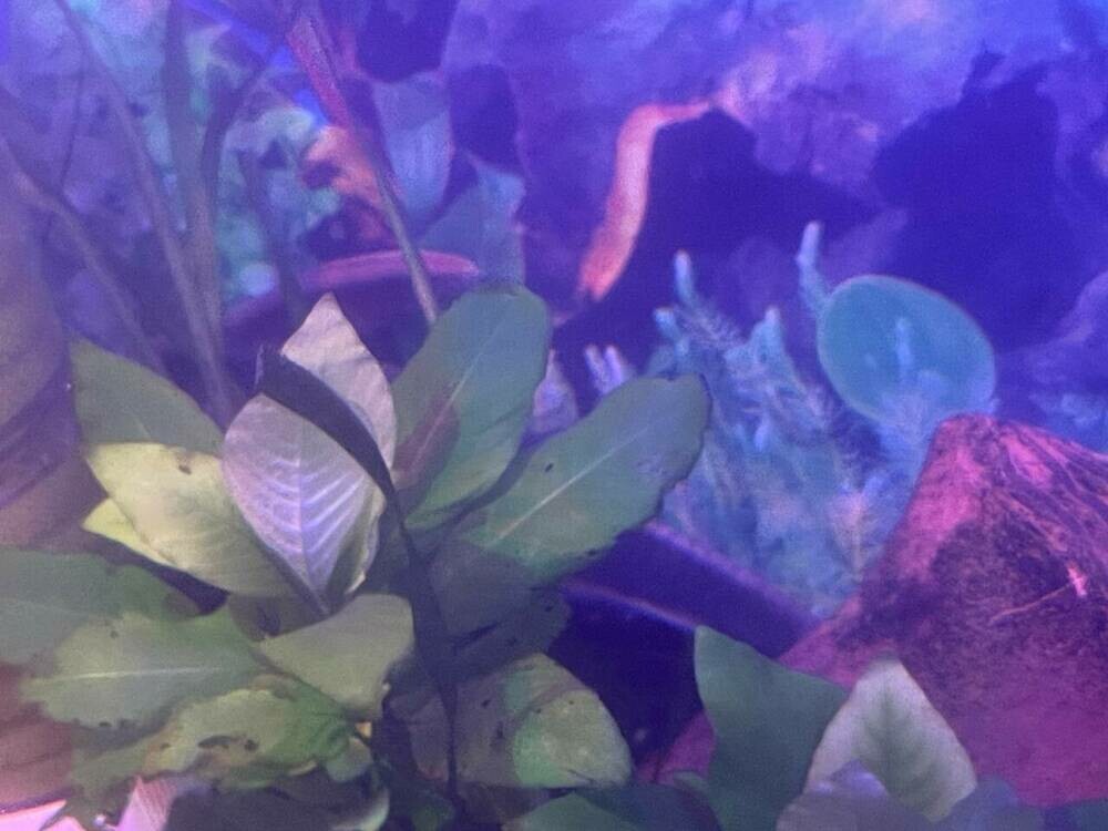 photo_2025-01-24 20.48.53.jpeg