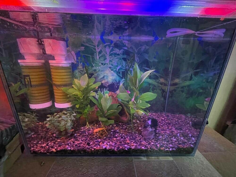 photo_2025-01-24 20.48.56.jpeg