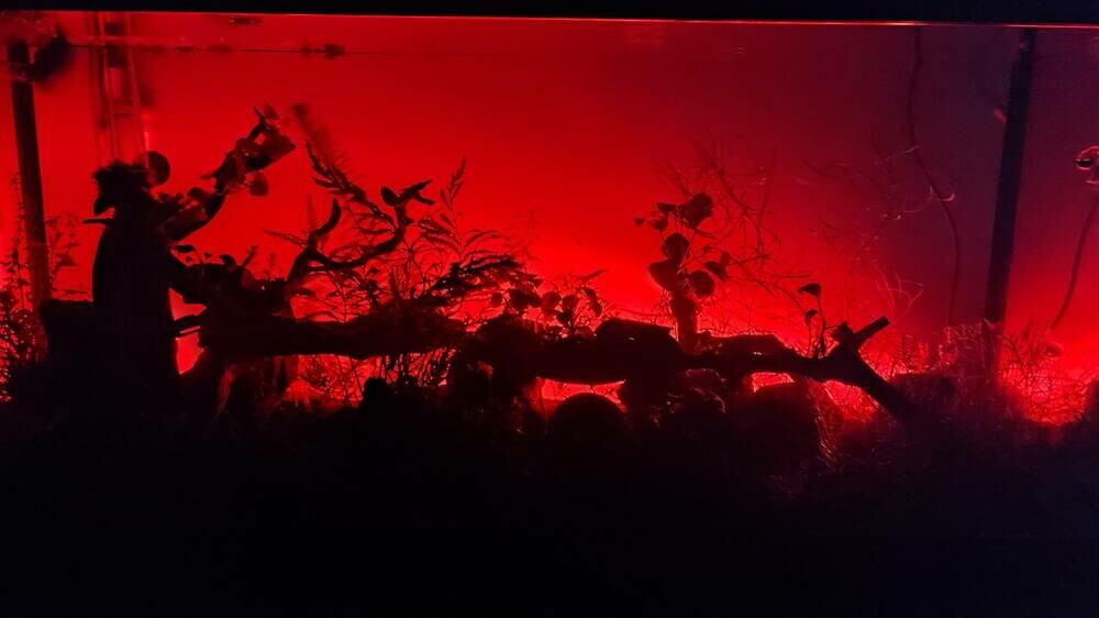 2024-02-12 22-43-40.JPG