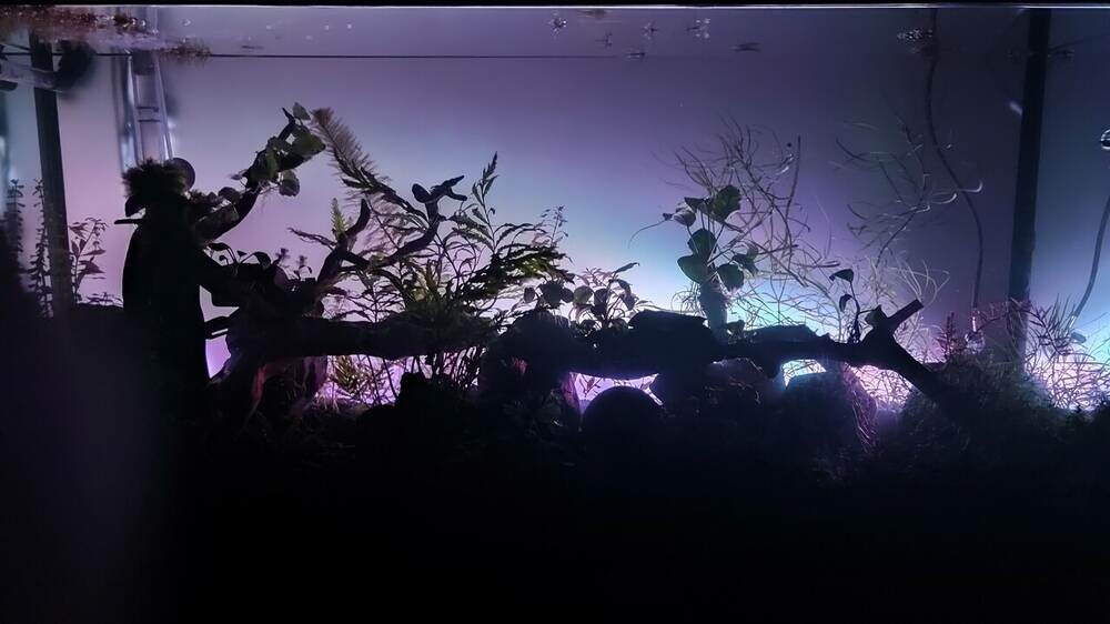 2024-02-12 22-45-24.JPG