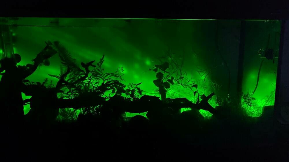 2024-02-12 22-46-11.JPG