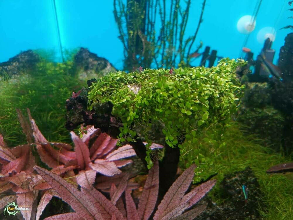 WhatsApp Image 2025-02-17 at 15.33.36 (1).jpeg