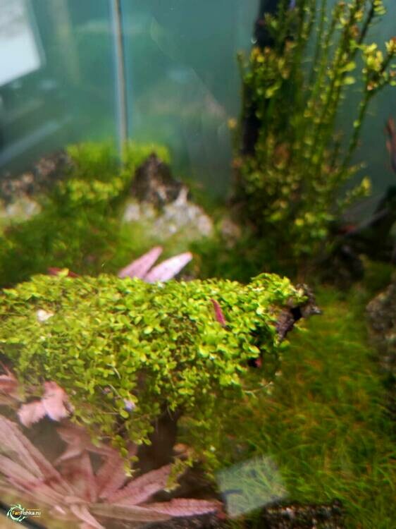 WhatsApp Image 2025-02-19 at 09.04.50 (2).jpeg