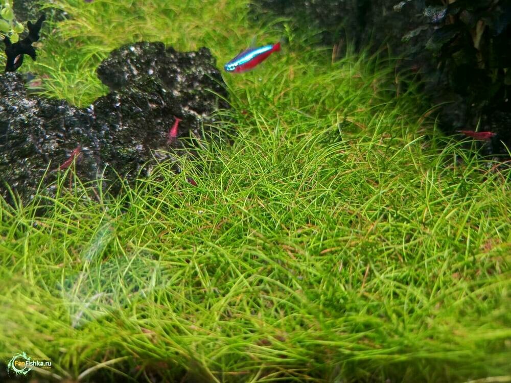 WhatsApp Image 2025-02-19 at 09.04.50 (1).jpeg