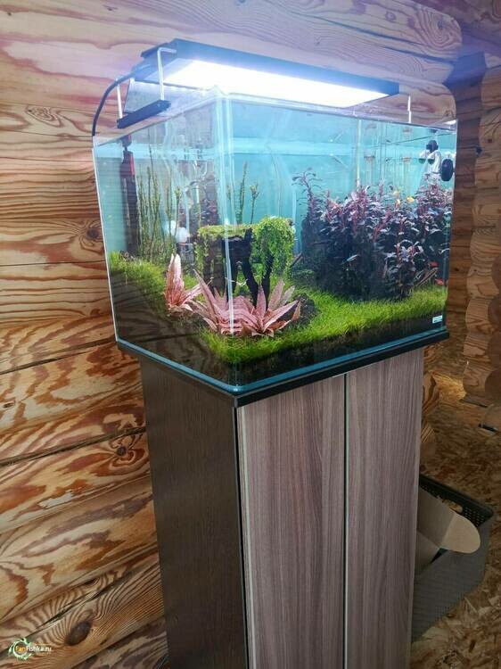 WhatsApp Image 2025-02-19 at 09.04.49.jpeg