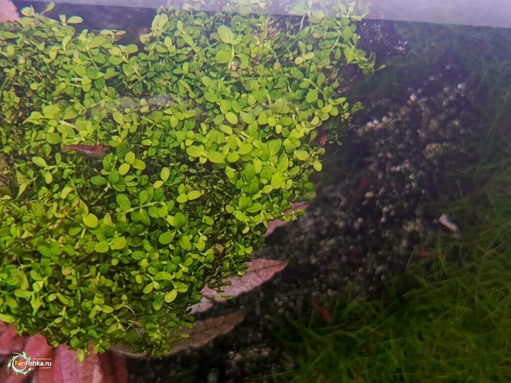 WhatsApp Image 2025-02-24 at 12.27.14.jpeg