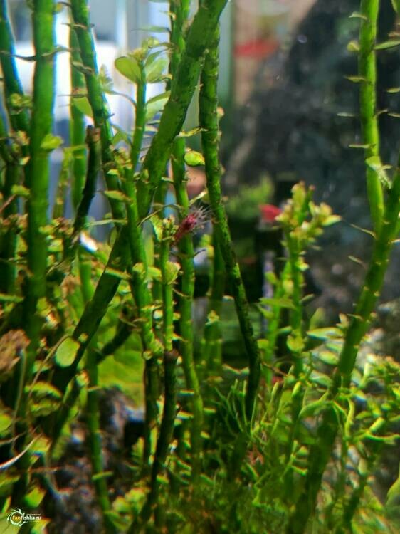 WhatsApp Image 2025-02-24 at 12.27.14 (1).jpeg