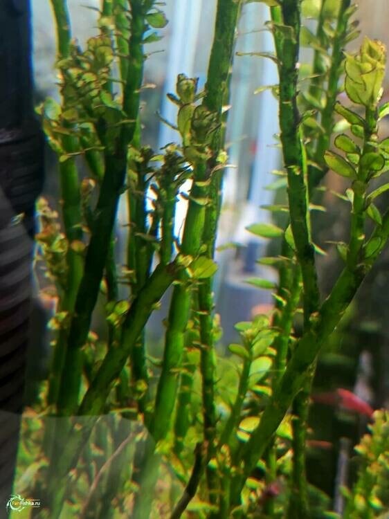 WhatsApp Image 2025-02-24 at 12.27.14 (2).jpeg