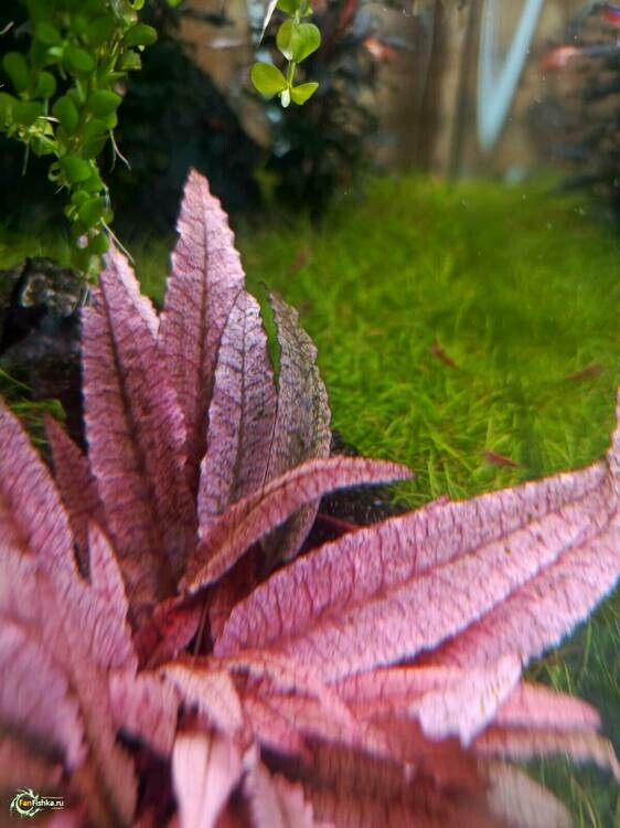 WhatsApp Image 2025-02-24 at 12.27.15.jpeg