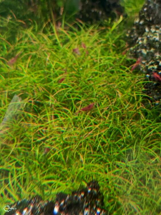 WhatsApp Image 2025-02-24 at 12.27.15 (1).jpeg