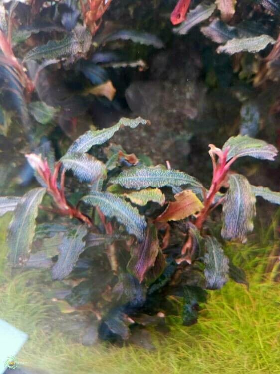 WhatsApp Image 2025-02-24 at 12.27.15 (2).jpeg