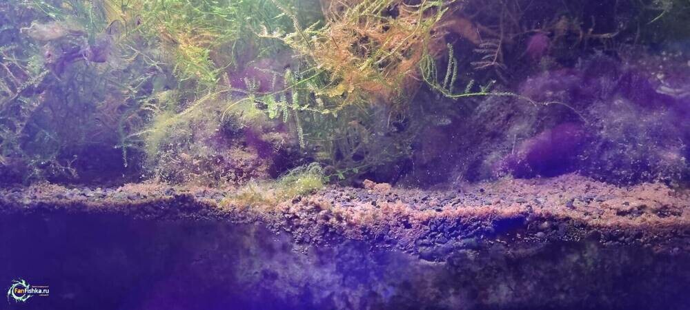 Изображение WhatsApp 2025-03-02 в 22.32.16_7d7ce686.jpg