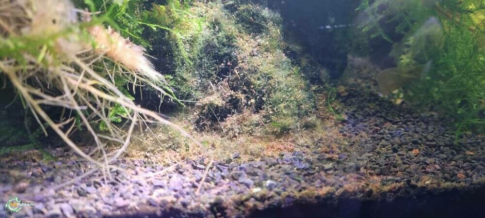 Изображение WhatsApp 2025-03-02 в 22.32.16_451a462d.jpg