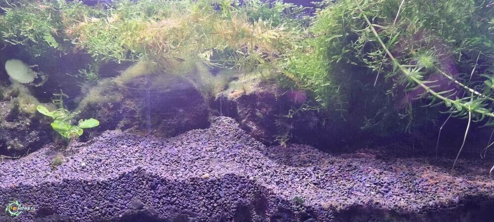 Изображение WhatsApp 2025-03-02 в 22.32.16_8594e5b0.jpg