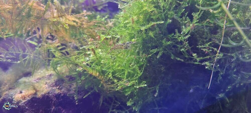 Изображение WhatsApp 2025-03-02 в 22.32.16_fae7d573.jpg