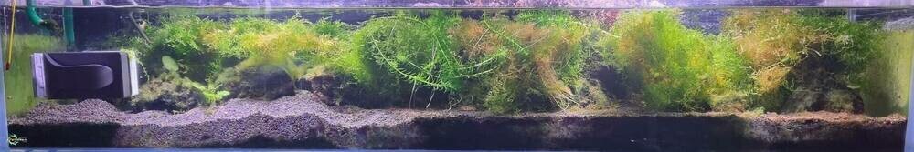 Изображение WhatsApp 2025-03-02 в 22.32.16_fd6de957.jpg