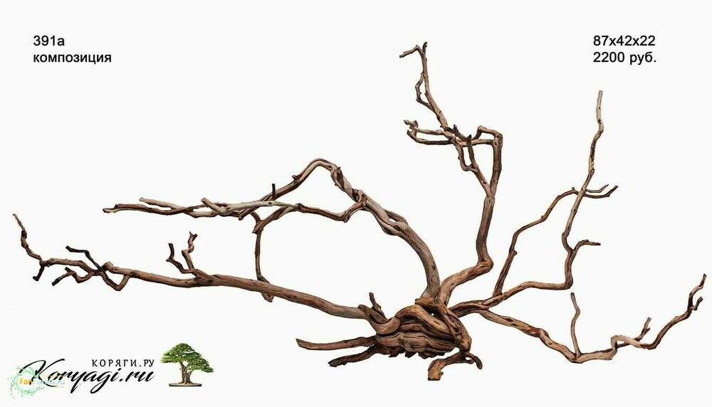391а.jpg
