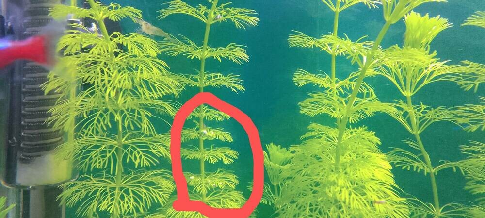 IMG_20250415_000144 (1).jpg