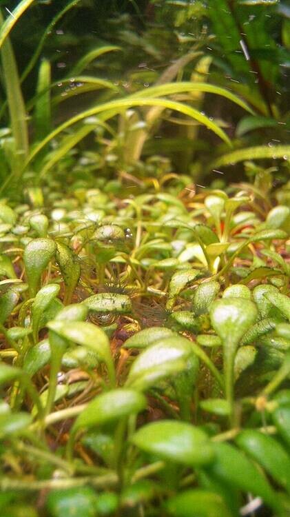 photo_2025-04-14_15-47-37 (2).jpg