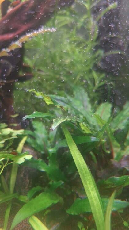 photo_2025-04-14_15-47-37 (4).jpg