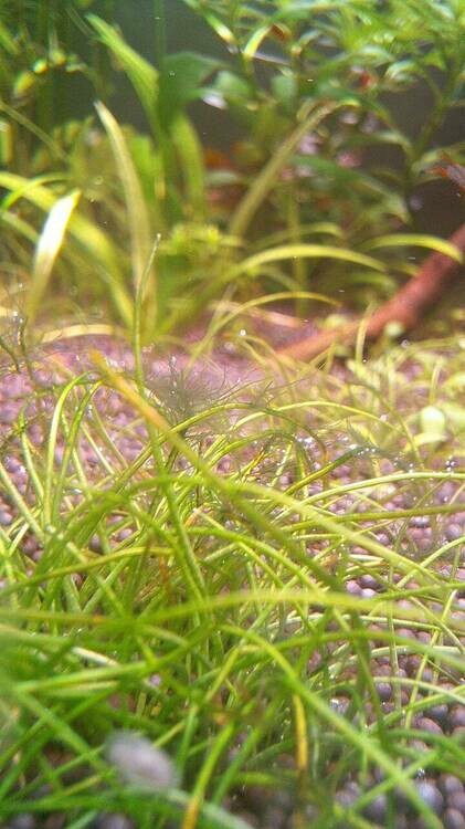 photo_2025-04-14_15-47-37 (5).jpg