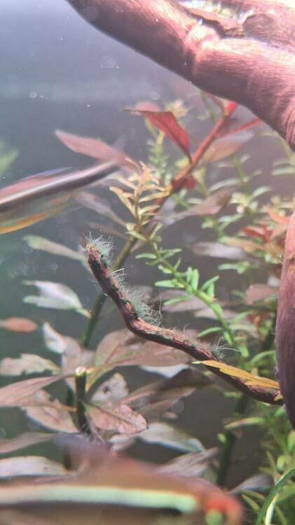 photo_2025-04-14_15-47-37 (6).jpg