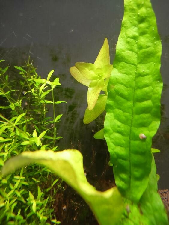 грязные стенки.JPG