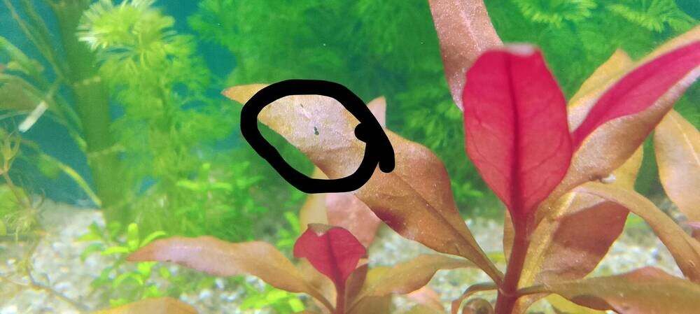 IMG_20250421_235959 (1).jpg