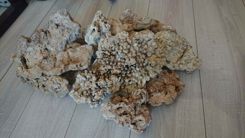 2025-04-27 19.07.59.jpg