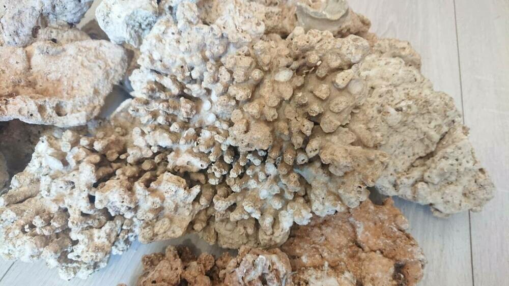 2025-04-27 19.07.52.jpg