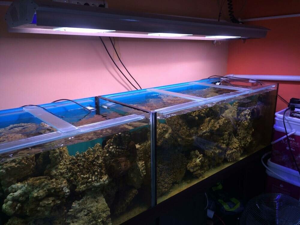 2025-04-27 19.07.14.jpg