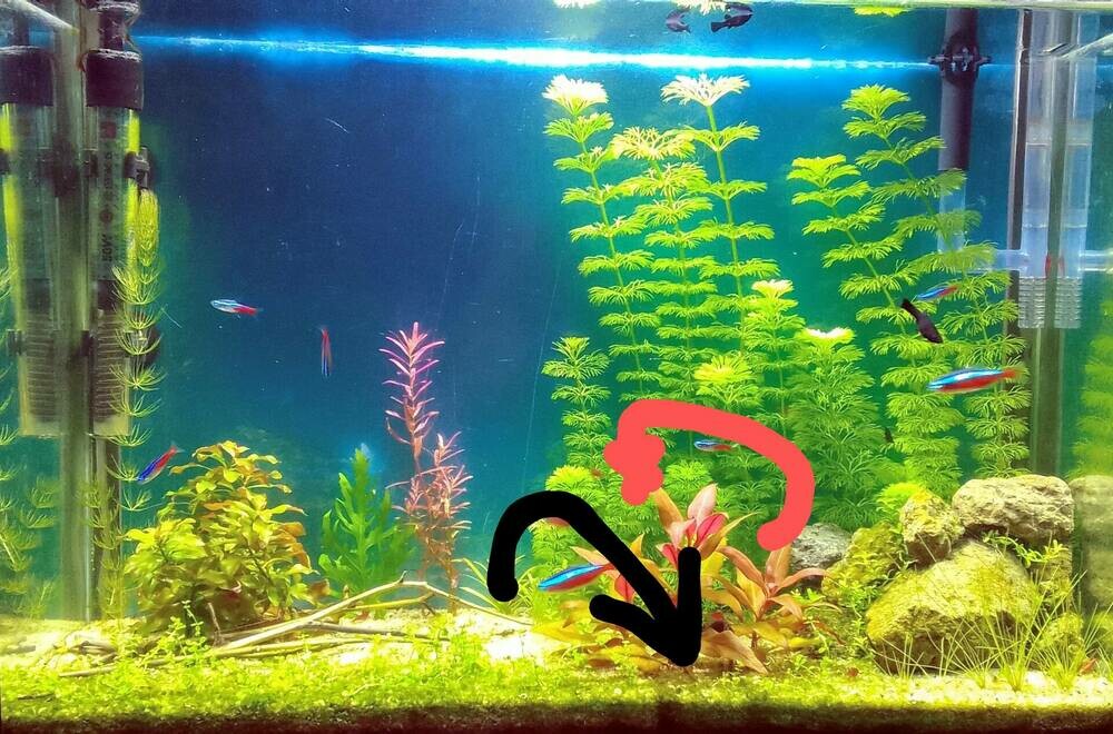 IMG_20250503_174422~2 (1).jpg