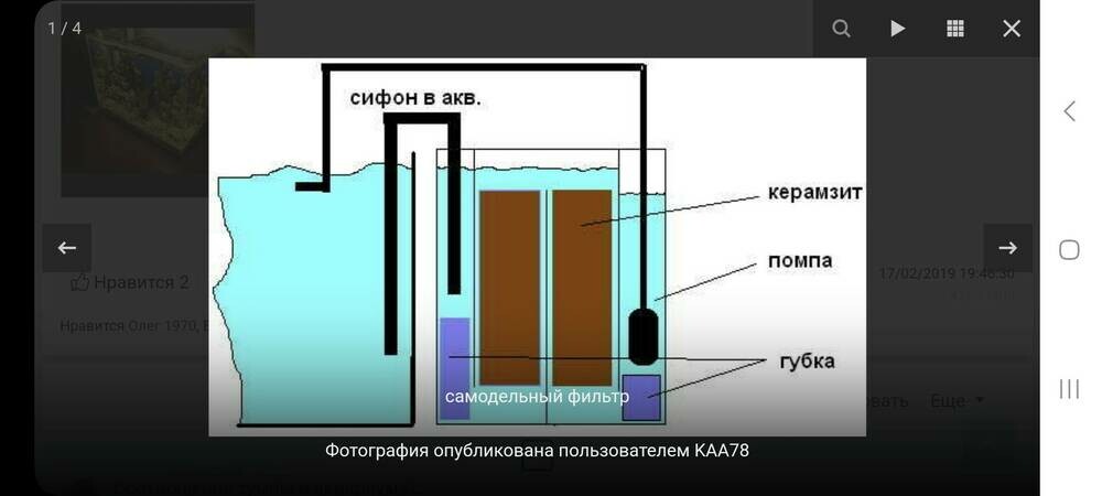 Screenshot_20250507_210141_Samsung Internet.jpg