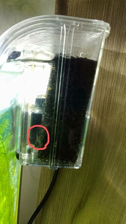 IMG_20250512_205519 (1).jpg