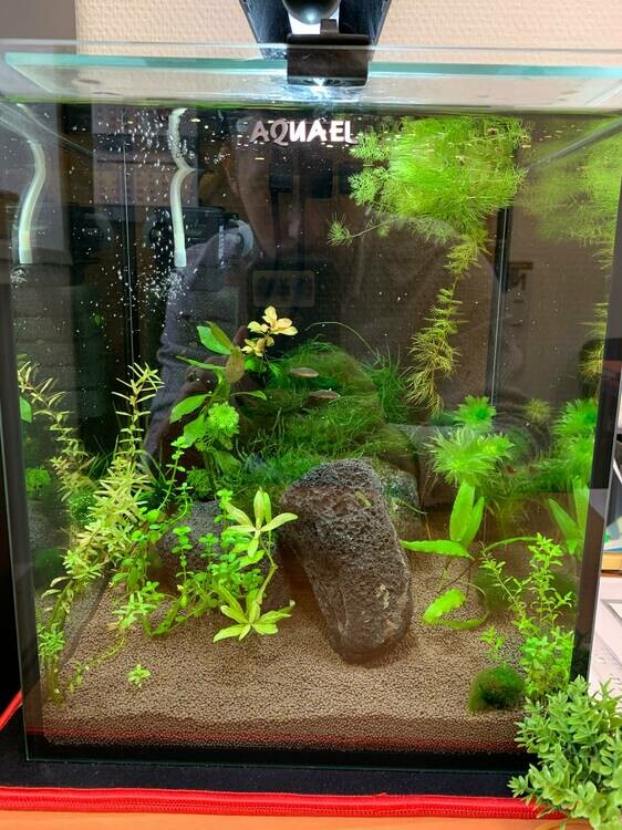 WhatsApp Image 2025-05-14 at 08.06.29 (1).jpeg