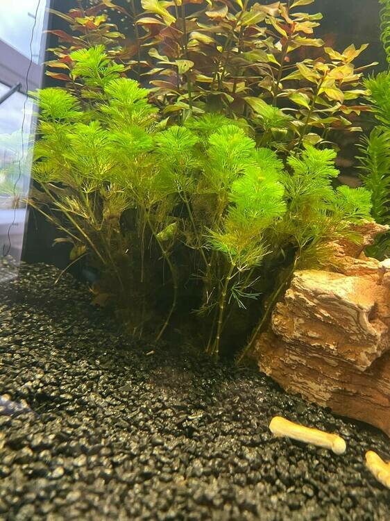 photo_2025-05-19_15-15-07 (2).jpg