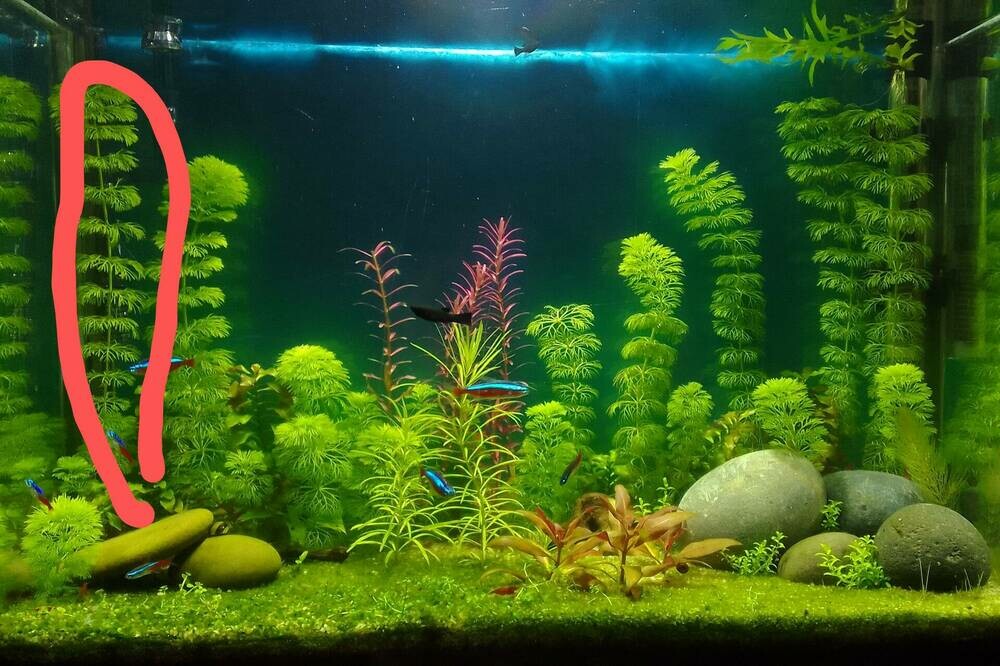 IMG_20250607_211149~2 (1).jpg