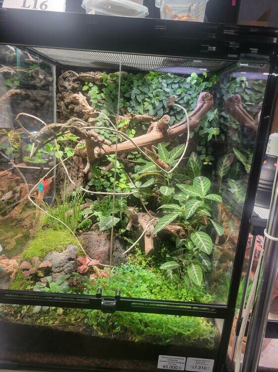 2025-06-15 16-39-54.jpeg