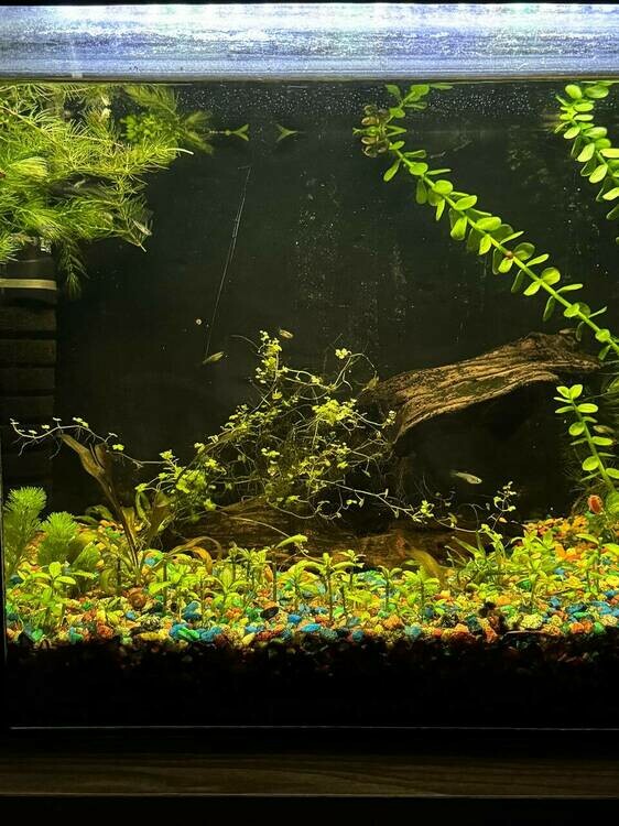 photo_2025-07-09 21.20.17.jpeg