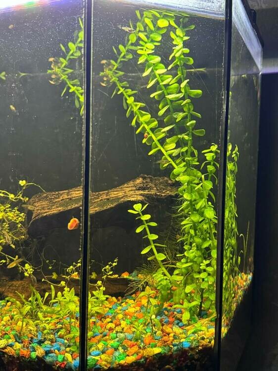 photo_2025-07-09 21.20.18.jpeg