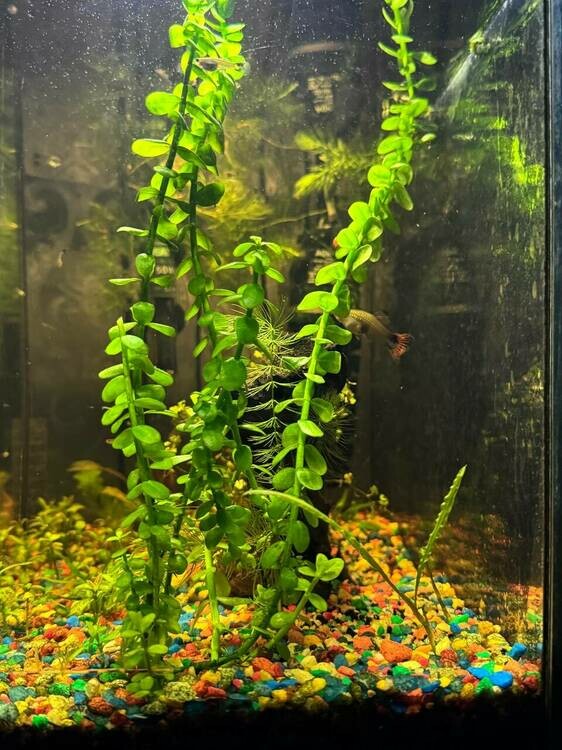 photo_2025-07-09 21.20.19.jpeg