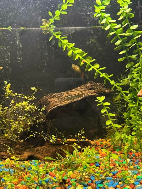 photo_2025-07-09 21.20.20.jpeg