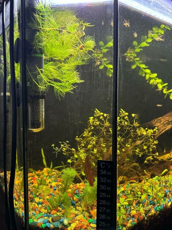 photo_2025-07-09 21.20.21.jpeg