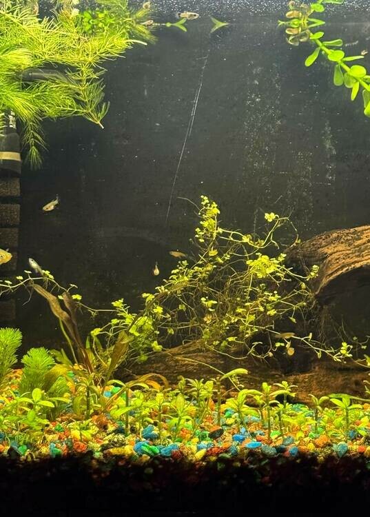 photo_2025-07-09 21.20.22.jpeg