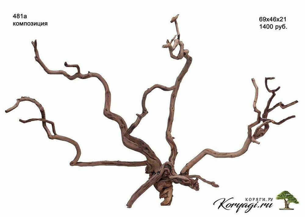 481а.jpg