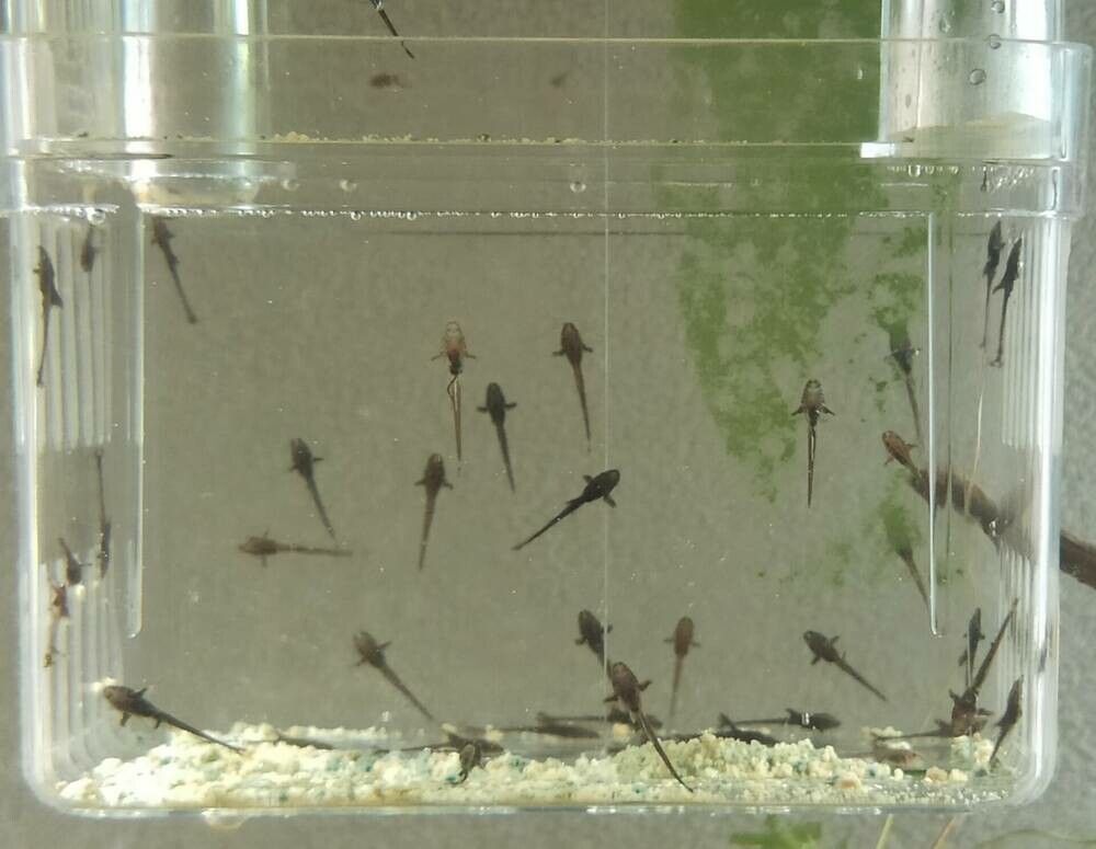 IMG_20250715_105152 (1).jpg