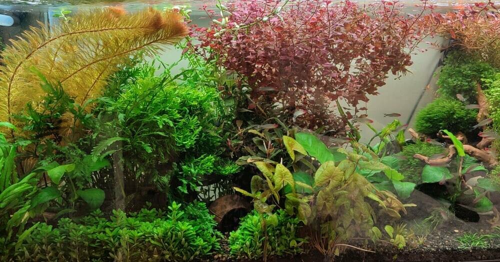 2025-07-27 18-50-47_1753781645.JPG