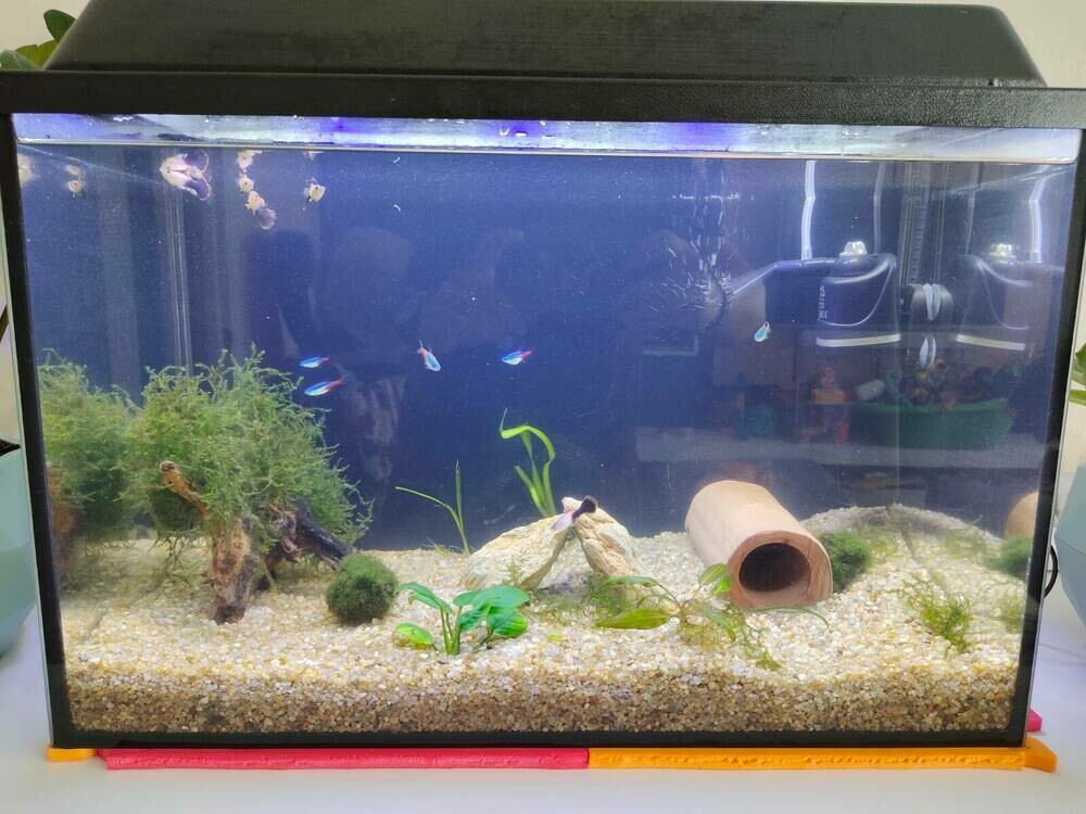 Изображение WhatsApp 2025-07-30 в 08.35.50_17176d9f.jpg