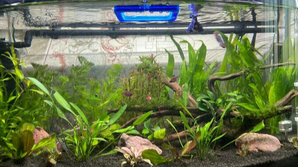 WhatsApp Image 2025-08-07 at 11.11.20.jpeg